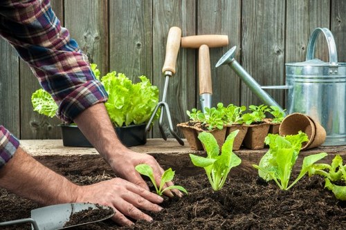 Front view of a gardener in a Downham garden preparing tools