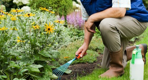 Gardener inspecting a garden with clipboard